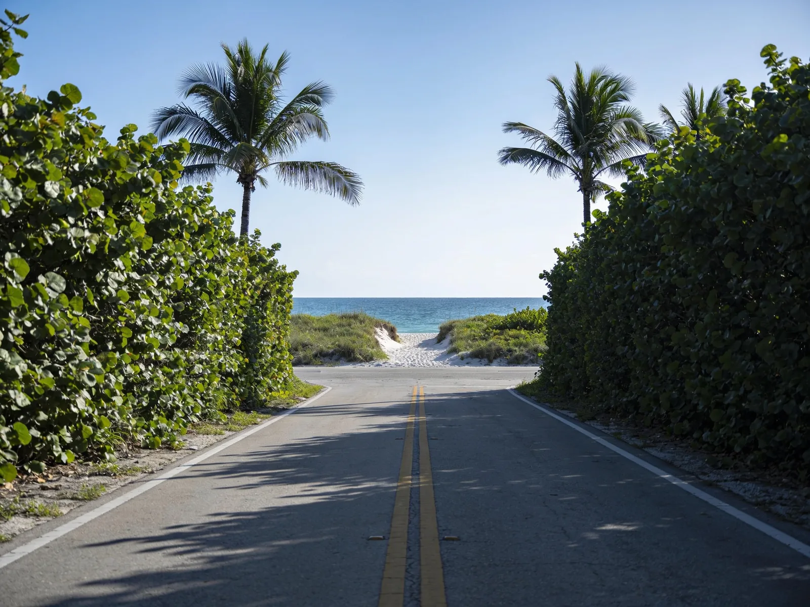 A two lane oceanfront road between sea grape hedges, with a low dune and the ocean beyond a gap