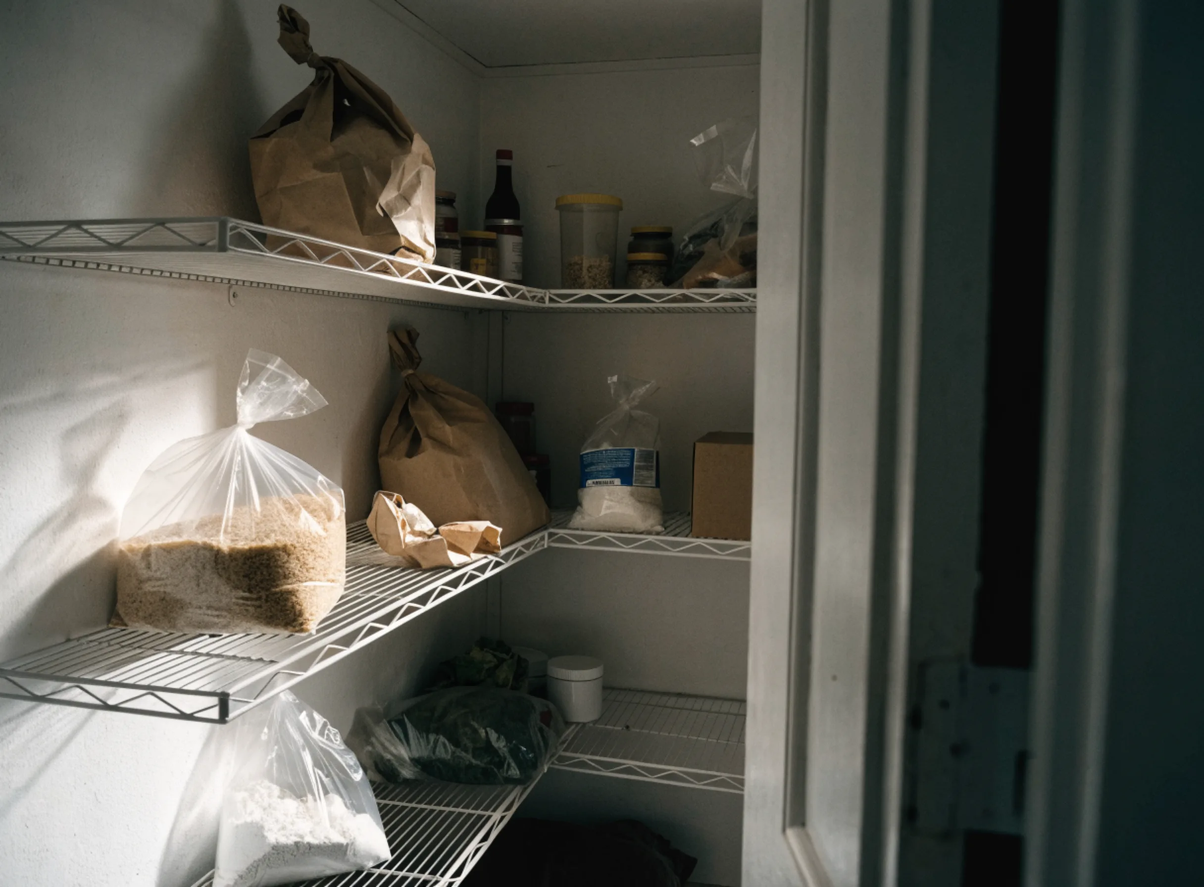A shallow reach in closet with fixed wire shelves, the kind a built pantry usually replaces